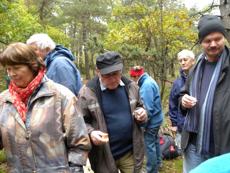 photo26.jpg