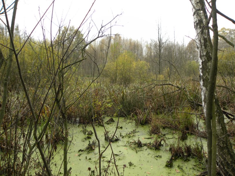 photo46.jpg