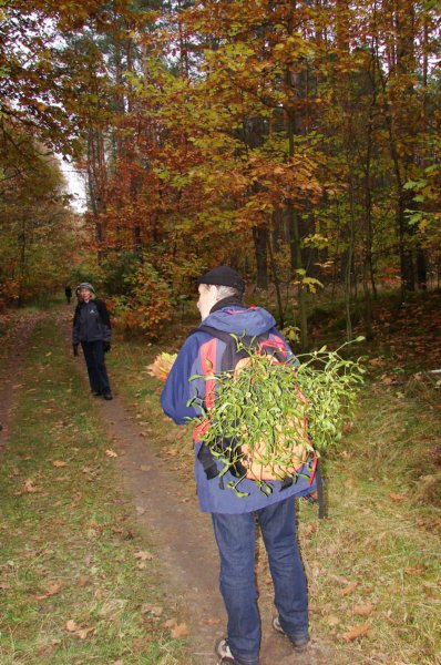 photo50.jpg