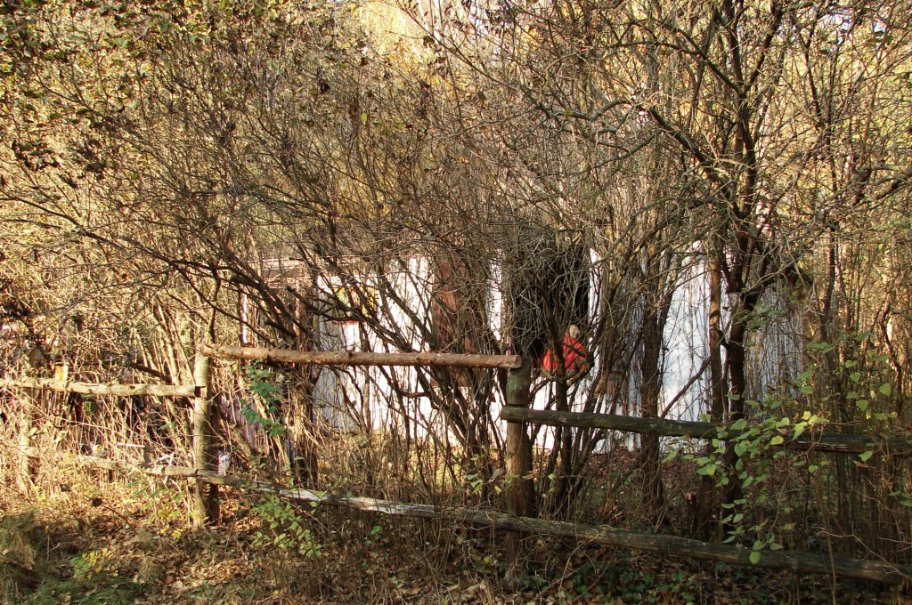photo38.jpg