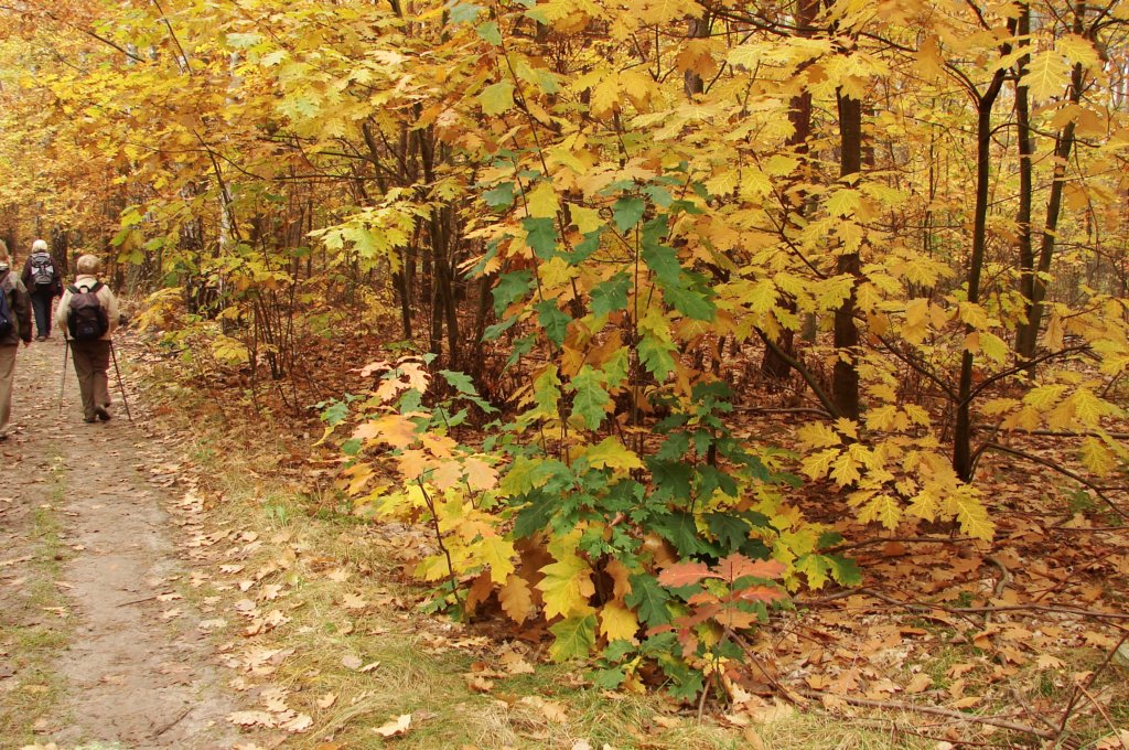 photo4.jpg