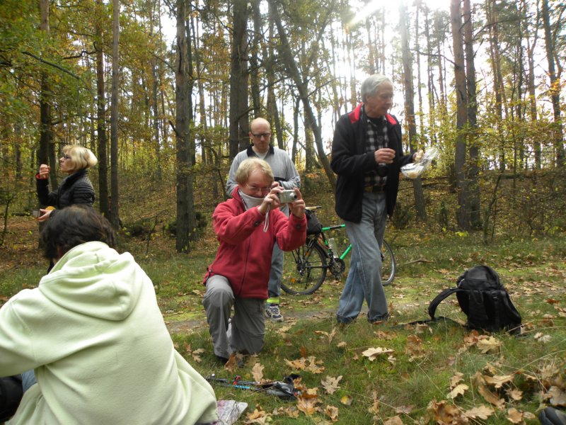 ireniada2013035.jpg